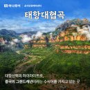 꿈에그린여행사