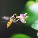 하루를 사는 일 이미지