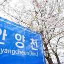 안양천 산책로 이미지