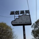 트윈트리2 민박 | 남양주 브런치카페 트윈트리 후기 분위기 좋은 대형카페