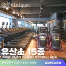 알브이디GYM 이미지