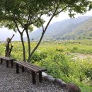 외룡송어회캠핑장 티스토리