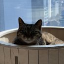 리본동물의료센터 이미지