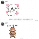 정정조「대바지강」 | 제가 왜 한달동안 기침이 멎질 못했는지 미친일상 알려드릴게요