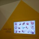 구산백조아파트(1131) | 경남 아이와 가볼만한곳 국립 김해 어린이박물관 체험 후기 예약 방법