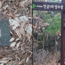 소리숲 이미지