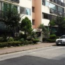 강남-242 이미지