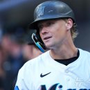 마이애미 이미지