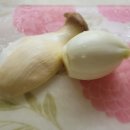 템포크생고기 이미지