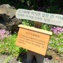 표선민속촌 주차장 이미지