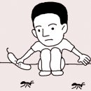 [생활정보] 집안에 개미 퇴치하는 법 이미지