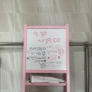 오마이구미 | 부산 강서구 실내애견카페 놀이방 호텔링가능한 오마이구미