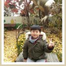 창조사 이미지