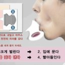 파오(PAO) 이미지