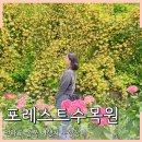 수국도 | 해남 포레스트 수목원 5월 목향 장미 수국 축제 일정