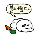 별밤노래클럽 이미지