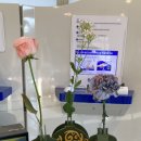 꿈과씨앗지역아동센터 이미지