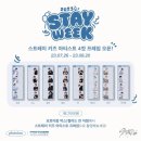 덕질 : 스테이위크 스키즈 포토이즘 후기 꿀팁(with 용복이)