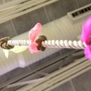 샬롬헬스타운 이미지