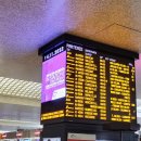 라우루스 | 이탈리아/피렌체 여행 [B&amp;B 라우루스 알 두오모 호텔] 숙소 룸, 조식 후기 ✔️