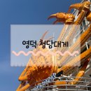 영덕대게거리 | 영덕대게맛집 강구항 대게거리 청담대게 가격정보 및 솔직후기