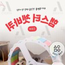 햄스터공화국