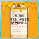 제일복지방역 이미지