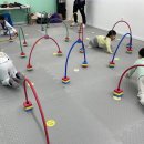목동 수 태권도장 이미지