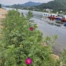 카페산마루 | 남양주 브리끄 카페 | 북한강 뷰 카페, 대청마루 영수증 10% 할인되는 드라이브 코스 솔직 후기