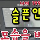 슬픈인연 나미 이미지