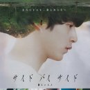 사이드바이사이드 이미지
