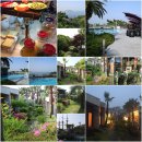 팜빌리지 이미지