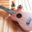 우쿨렐레(주말) 이미지