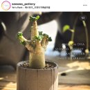 서우농장 이미지