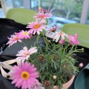 (주)가야드림 이미지