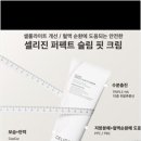 세종로 214번길 네이버블로그