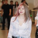 써니톡톡 일간스포츠