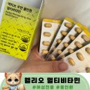 올인원 영양제 우먼 웰리오 멀티비타민 후기