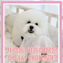 개성있냥