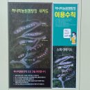 하너미캠핑장 이미지