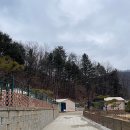 강아지와 함께하는 최고의 힐링 공간, 캠프 위드펫&amp;애견글램핑