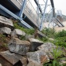 칠곡 왜관철교 이미지