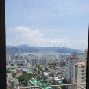 완월동147 이미지