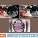 워너비동물병원 용산점 이미지