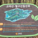 외포리정미소 Daum카페