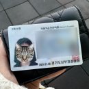 [도로]정자동 지역난방공사 삼거리2 | [수원역/운전면허학원] 기능+도로주행 시험 합격 후기👊🏻