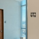 리엔동물의료센터 이미지