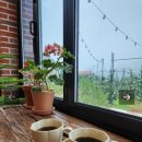 꽃피는산골스테이 이미지