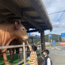 둔덕농협한우관 이미지