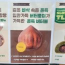 뚜레쥬르 신상 버터떡 쫀득버터볼 먹어본 후기